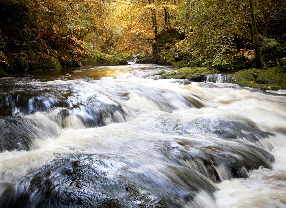 Rumbling Bridge Gorge, Perth and Kinross